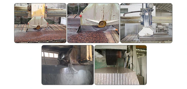 250-3500mm High Quality Diamond Cutting Segments for Granite